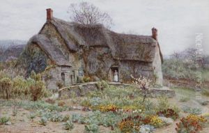 Old Dorset Cottage
