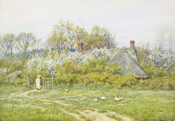 The Goose Girl - view 1
