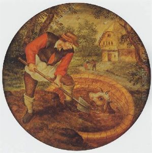 To Fill The Well Once The Calf Has Fallen In
