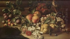 Plums, Peaches, A Pomegranate And Grapes Beside A Sprig Of Jasmine With A Goldfinch On A Rocky Ledge