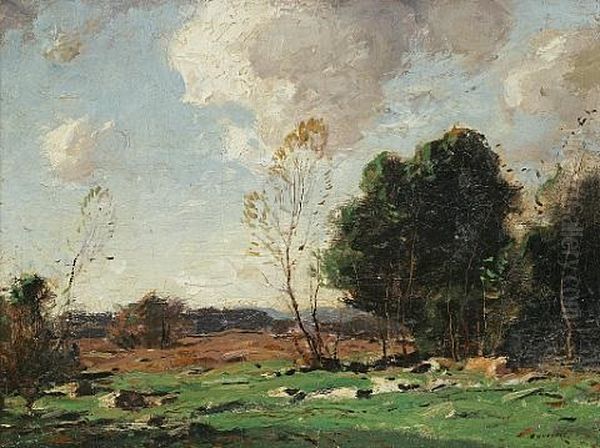 Landscape Of Trees On The Edge Of A Clearing - view 1