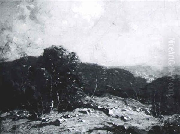 Autumn Hillside - view 1
