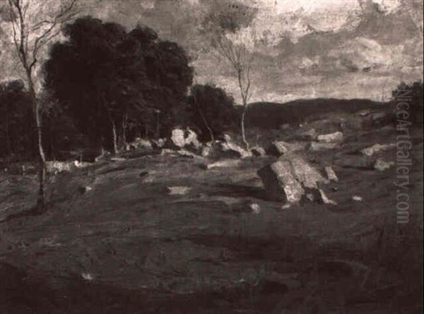 Sunny Landscape With Rocks - view 1