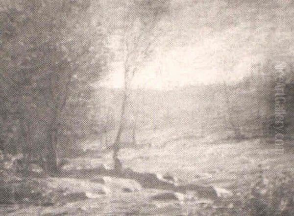 Tonal Landscape - view 1