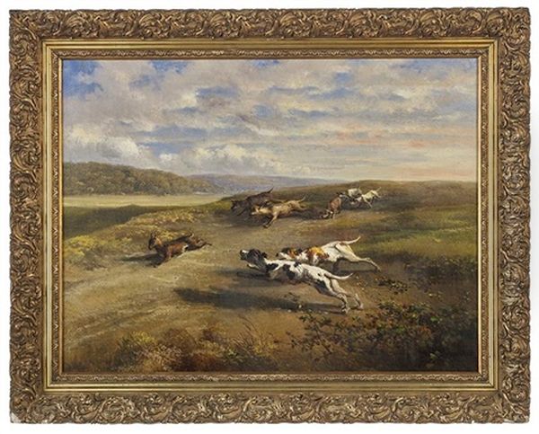 The Hunt - view 1