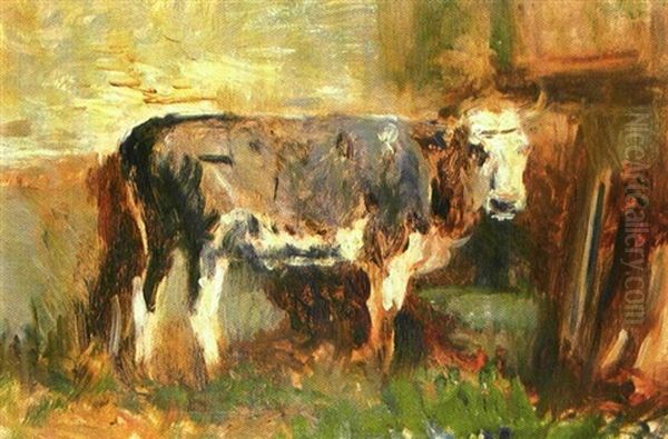 Young Bull - view 1