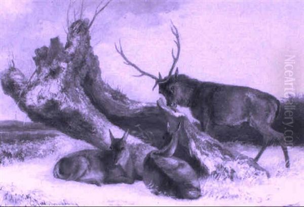 Deer In A Snowy Landscape - view 1