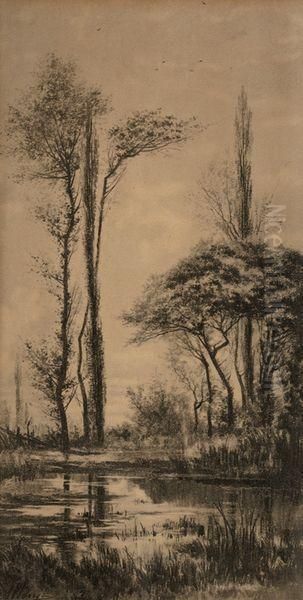 Arbres A La Riviere - view 1
