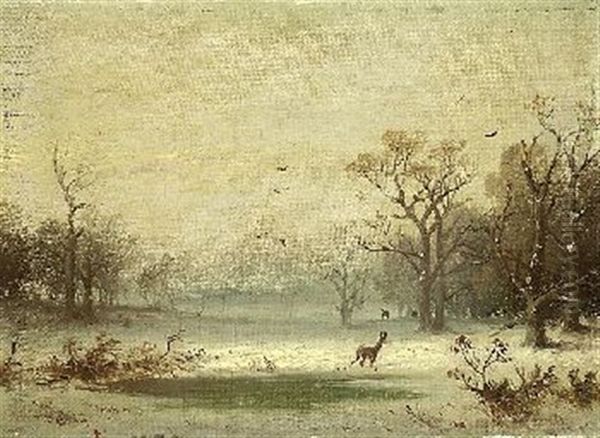 Reh In Winterlandschaft - view 1