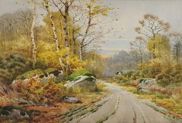 Chemin En Foret - view 1