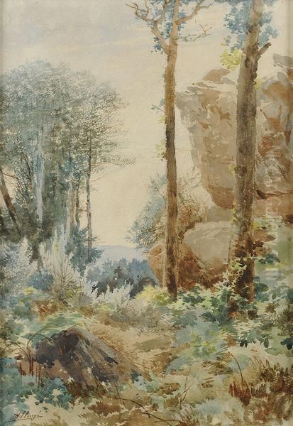 Sous-bois - view 1