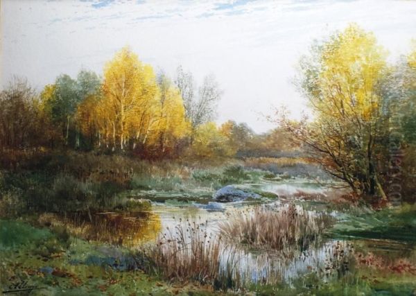 Petite Riviere A L'automne - view 1