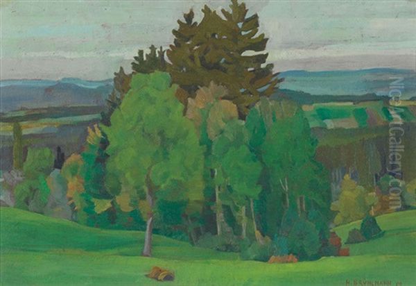 Sommerliche Landschaft - view 1