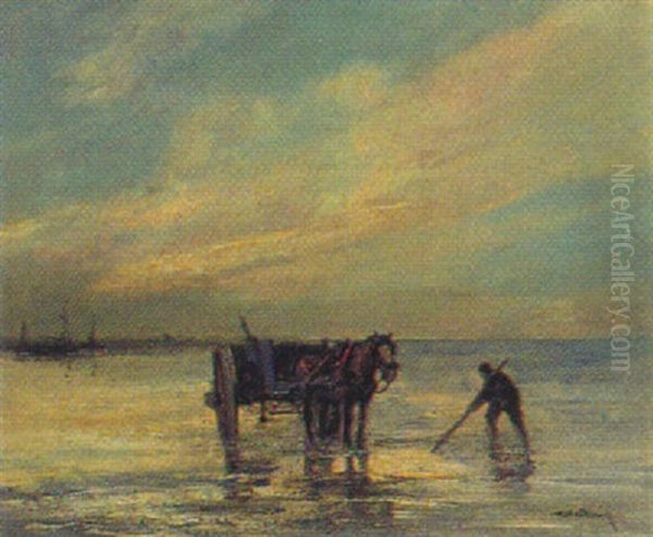 Krabbenfischer In Zandvoort Bei Sonnenuntergang - view 1