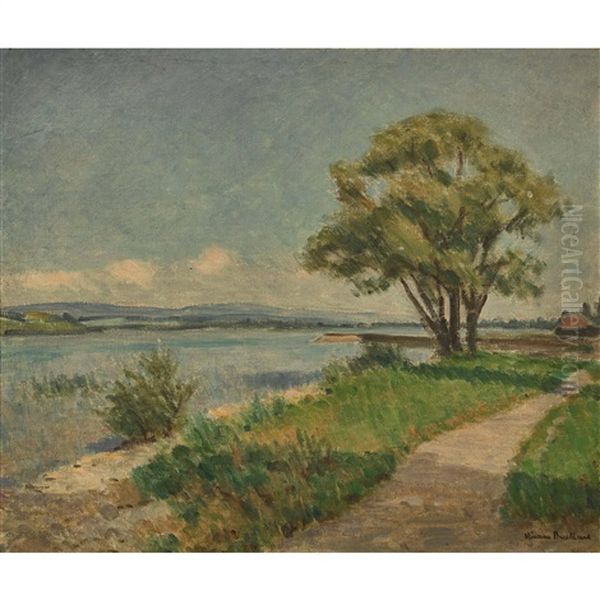 Sonnige Uferlandschaft - view 1