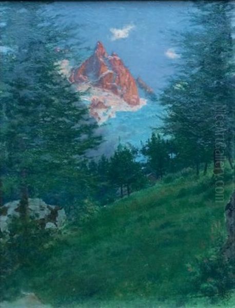 La Meije, 1905 - view 1