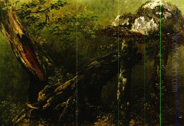Etude D'arbre - view 1