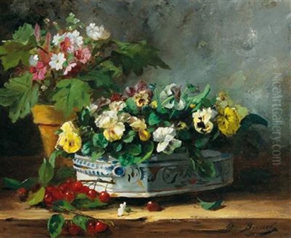 Pansies And Primroses - view 1
