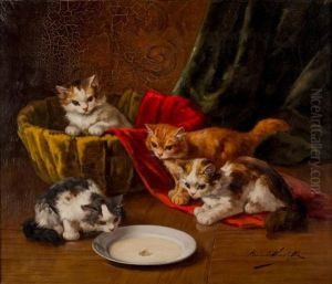 Chatons, La Mouche