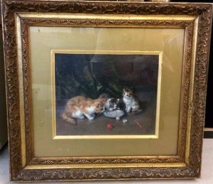 Chatons Devant L'assiette Vide
