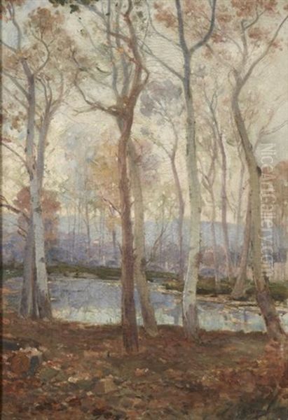 Barthelasse - view 1
