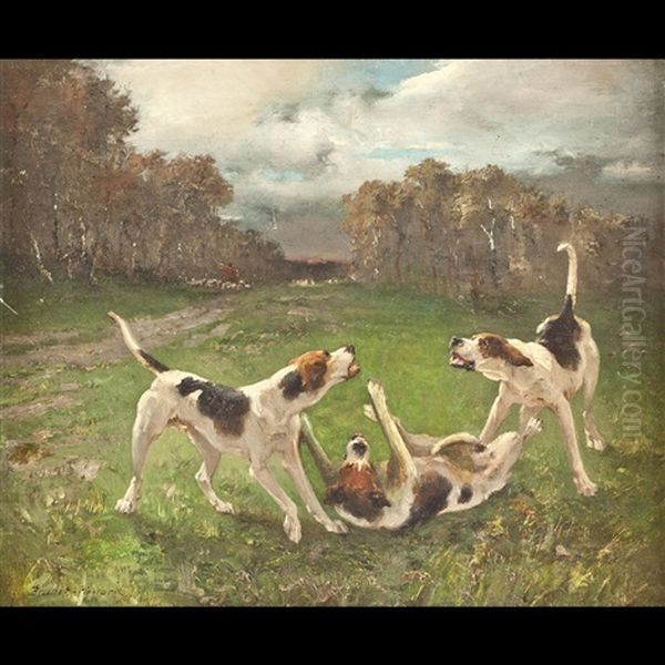 Il Gioco Dei Cani - view 1