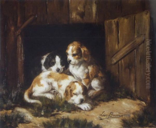 Les Chiots - view 1
