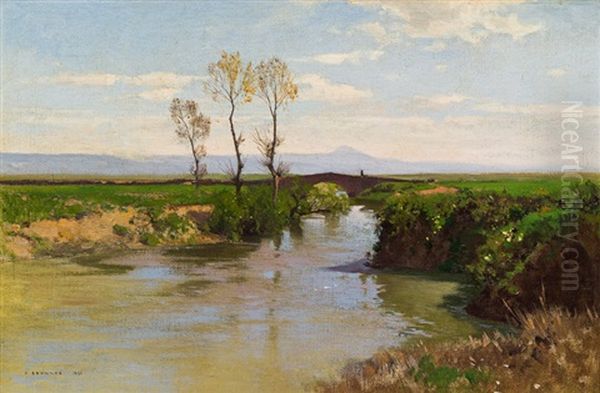 Wide River Landscape - view 1