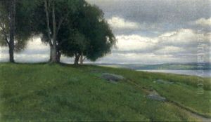 Truber Tag An Der Donau by Ferdinand Brunner
