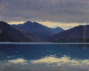 Blick Uber Den Attersee Von Steinbach Auf Die Drachenwand