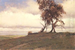 Heide Heide