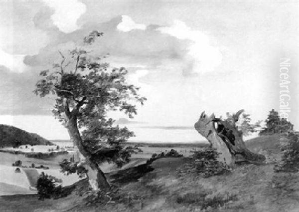 Landschaftsmotiv Aus Niederosterreich - view 1