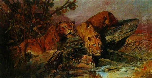 Lion On The Prowl - view 1
