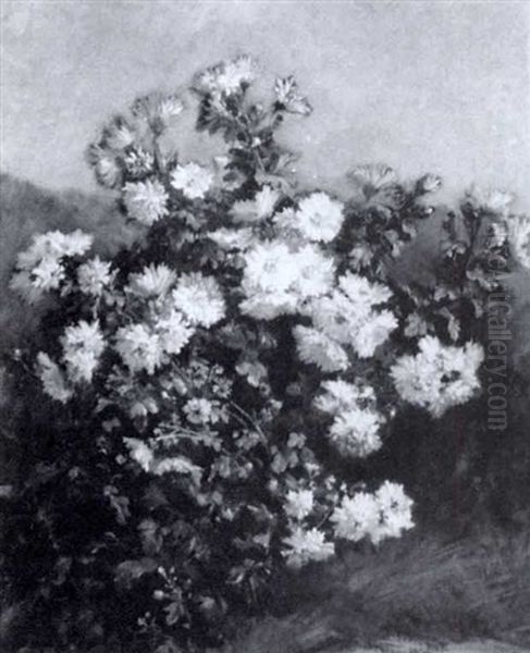 Still Life Of Chrysanthemums - view 1