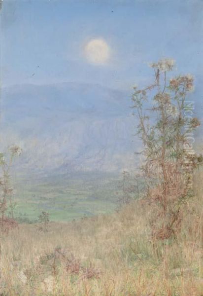 The Idler's Harvest - view 1