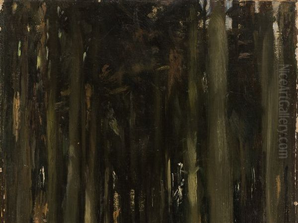 In The Forest - view 1