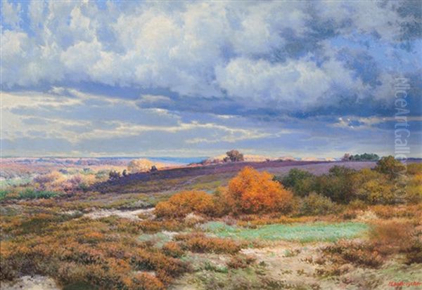 Der Herbst In Der Heide - view 1