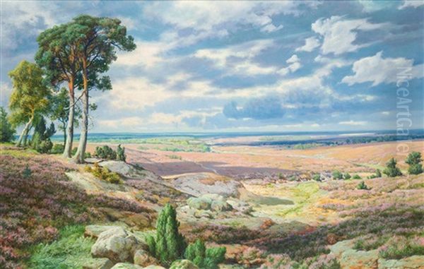 Heide (aus Dem Morgennebel Erwacht Der Sonnige Tag) - view 1