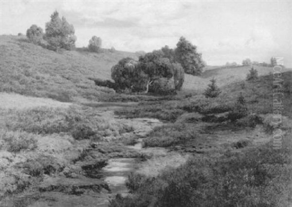 Sonne Und Schatten In Der Heide - view 1