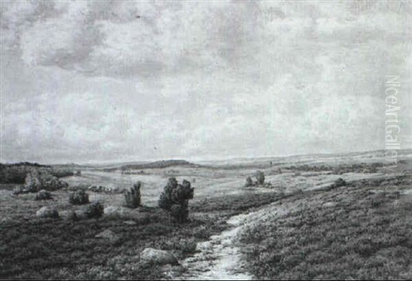 Wolkenschatten Ziehen Uber Verbluhende Heide - view 1