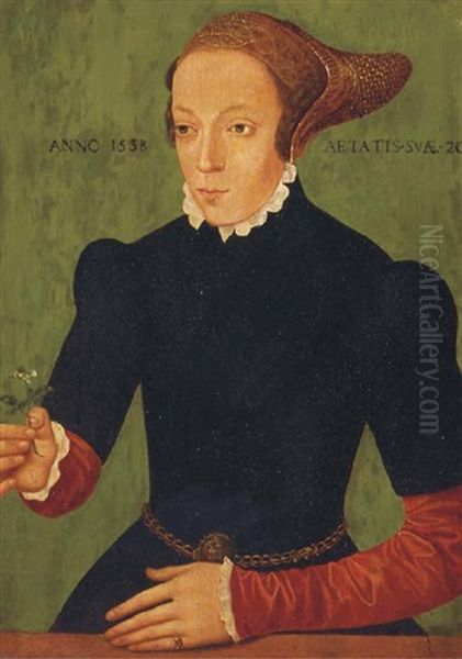 Portrait Of A Lady In A Black Tunic And Crimson Silk Sleeves, At A Ledge - view 1