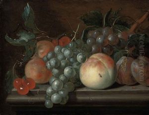 Cherries, Grapes, Plums, Apricots And A Peach On A Stone Ledge by Johannes Cornelis de Bruyn