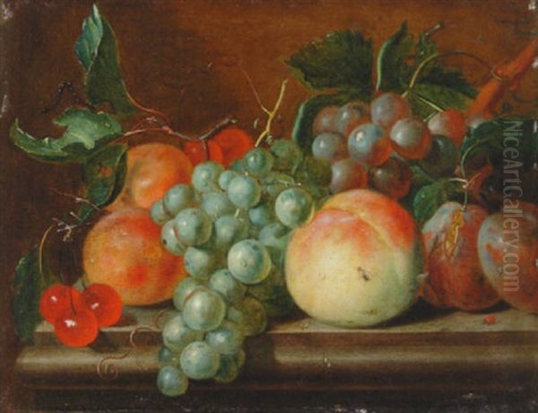 Cherries, Grapes, Plums, Apricot And A Peach On A Stone Ledge - view 1