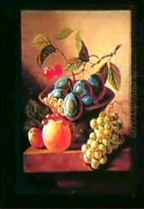 Still Life Of Fruit by Johannes Cornelis de Bruyn