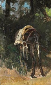 Mulo Bardato