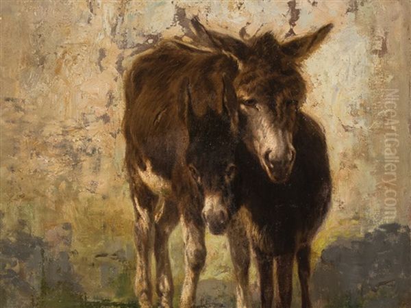 Donkey - view 1