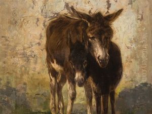 Donkey by Stefano Bruzzi