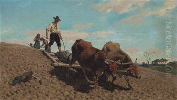 Oxen Ploughing - view 1