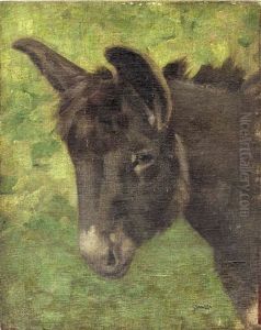 Testa Di Asinello by Stefano Bruzzi