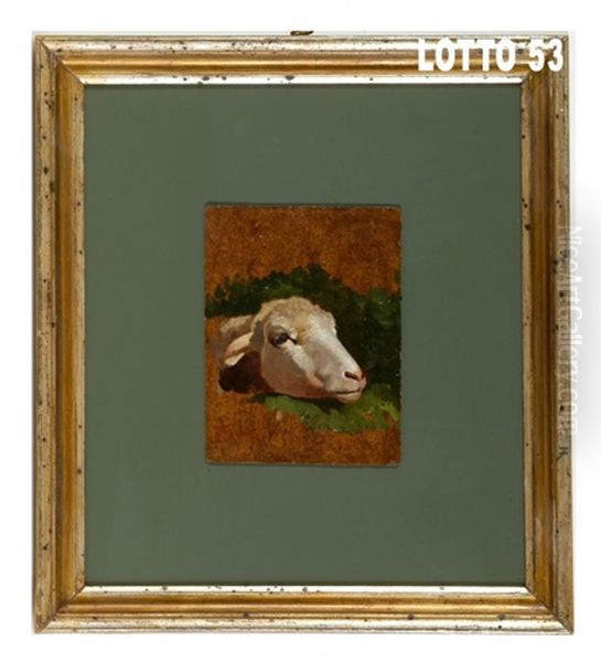 Testa Di Pecora - view 1